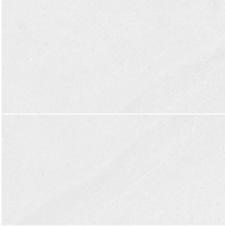 Monopole Galaxy White